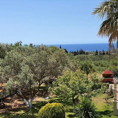 Lemon Tree Apartments A D Argostoli  Exterior photo